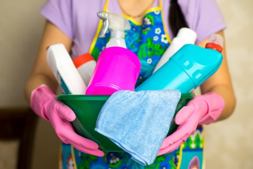 Professional cleaners working in Rotherhithe