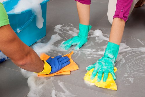 Eco-friendly cleaning products used by professional cleaners