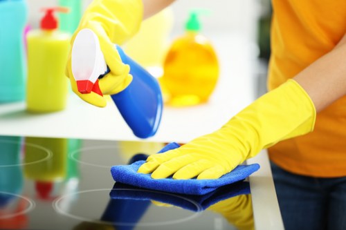 Various types of one off cleaning services offered