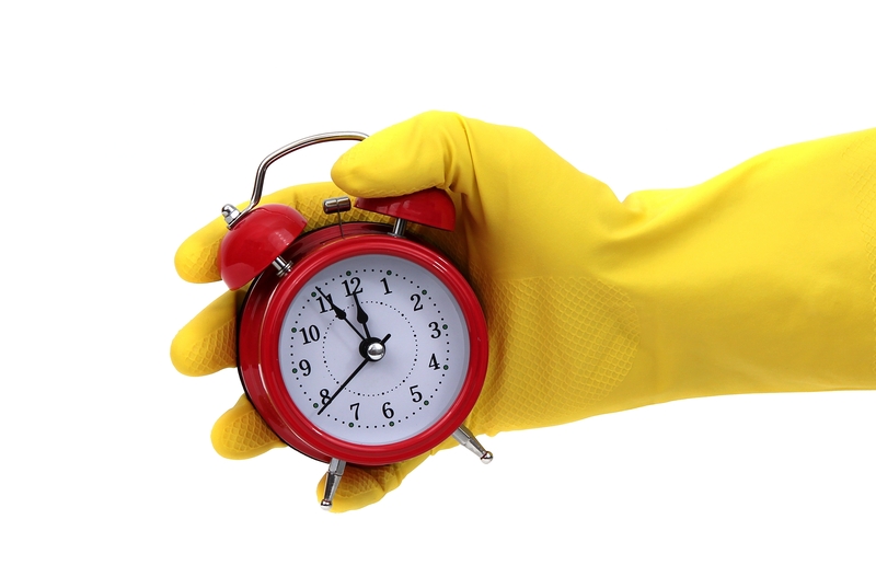 Professional cleaners clean